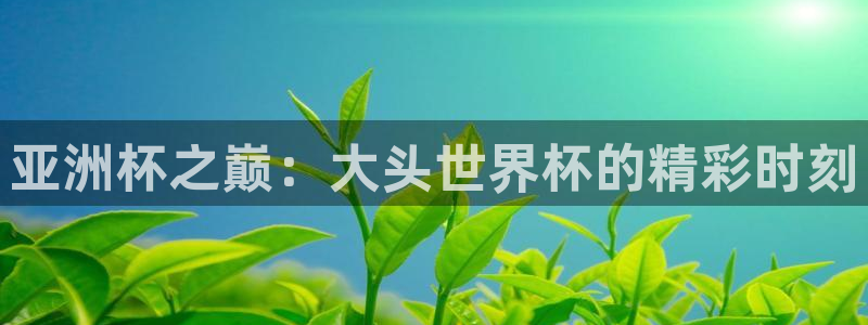 欧联杯直播：亚洲杯之巅：大头世界杯的精彩时刻