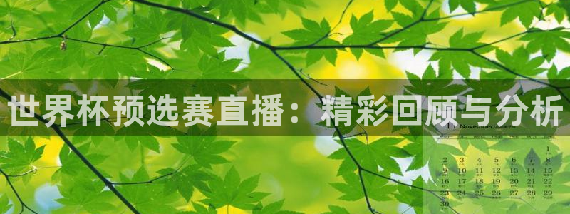 2026世界杯赛制:世界杯预选赛直播:精彩回顾与分析