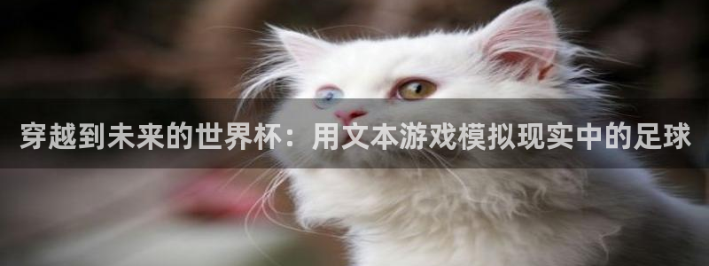 世界杯直播平台：穿越到未来的世界杯：用文本游戏模拟现实中的足球