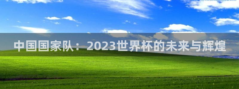 世界杯比赛赛程：中国国家队：2023世界杯的未来与辉煌