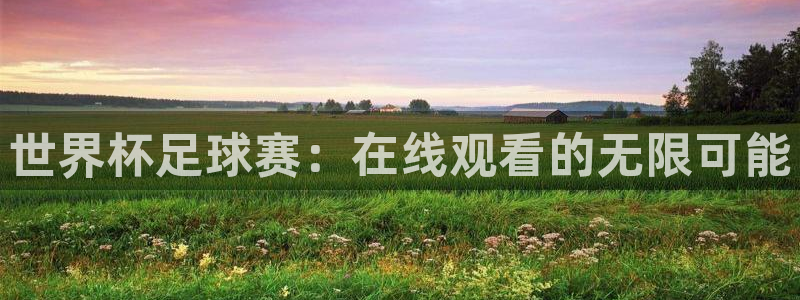 足球杯:世界杯足球赛:在线观看的无限可能