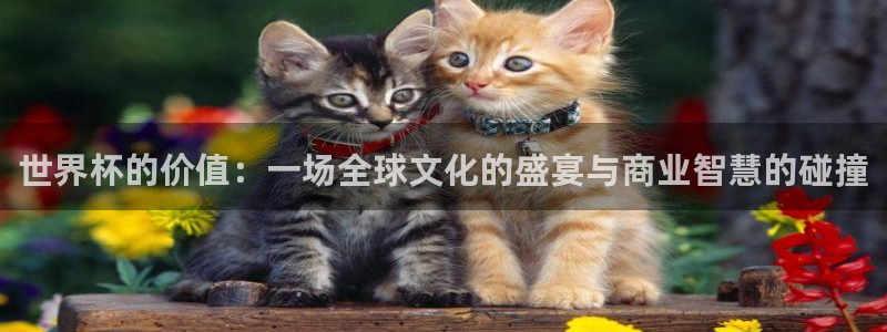 女足世界杯直播在线观看免费高清:世界杯的价值:一场全球文化的盛宴与商业智慧的碰撞