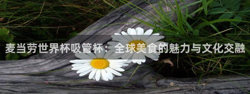 世界杯 赛程:麦当劳世界杯吸管杯:全球美食的魅力与文化交融