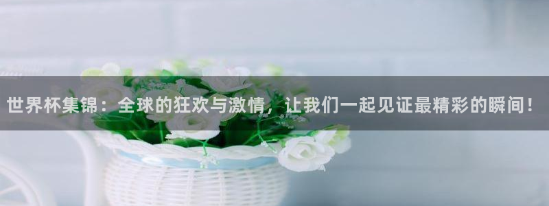 葡萄牙世界杯赛程：世界杯集锦：全球的狂欢与激情，让我们一起见证最精彩的瞬间！