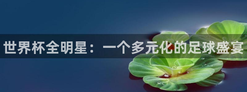 世界杯预赛赛程：世界杯全明星：一个多元化的足球盛宴