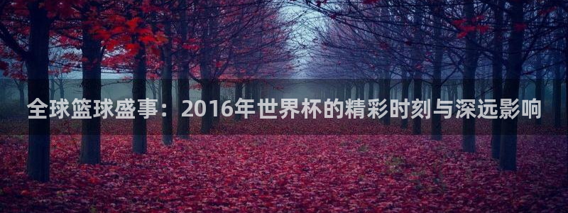 2026世界杯亚洲区预选赛赛程：全球篮球盛事：2016年世界杯的精彩时刻与深远影响