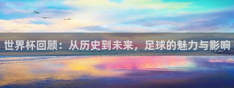 联赛杯直播：世界杯回顾：从历史到未来，足球的魅力与影响