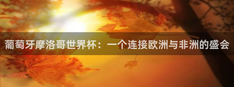 足球世界杯2026：葡萄牙摩洛哥世界杯：一个连接欧洲与非洲的盛会