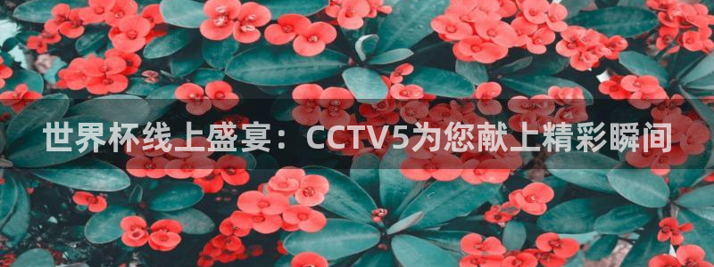 2006年世界杯冠军：世界杯线上盛宴：CCTV5为您献上精彩瞬间